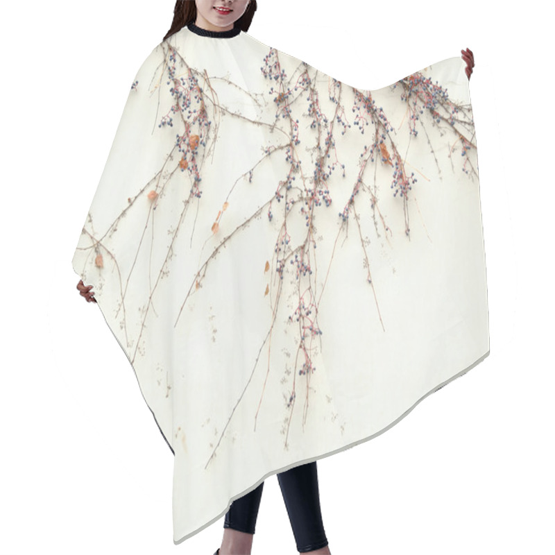 Personality  The Late Autumn. The Blank Wall With Wild Vine. Hair Cutting Cape