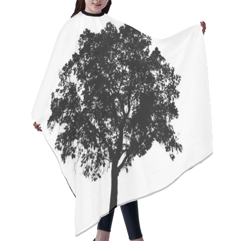 Personality   Trees In Silhouettes.  Hair Cutting Cape