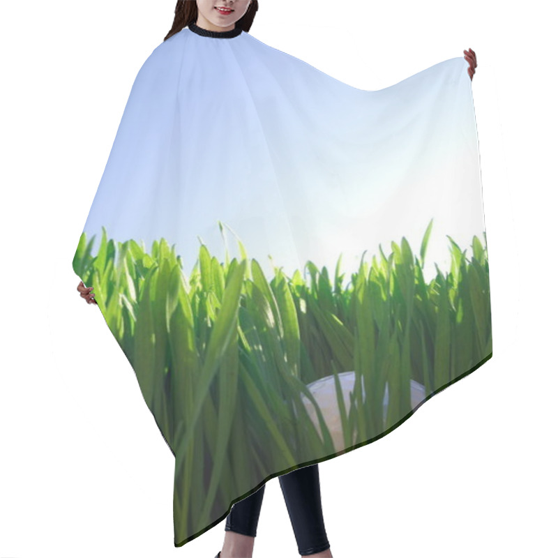 Personality  Golf Ball Hair Cutting Cape