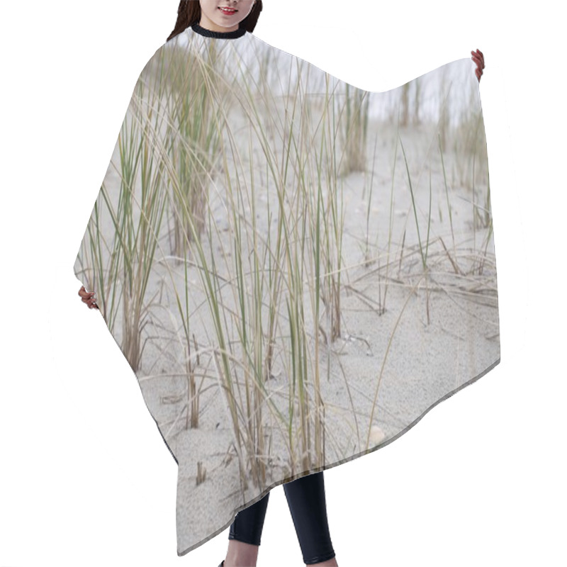 Personality  Seagrass, Dunes And Sand Hair Cutting Cape