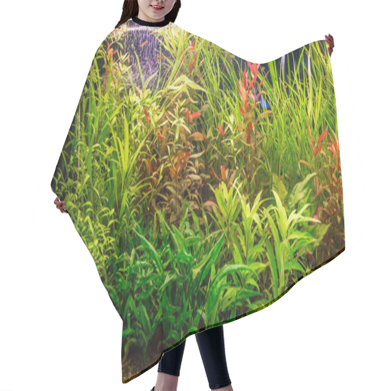 Personality  Aquarium With Fishes Hair Cutting Cape