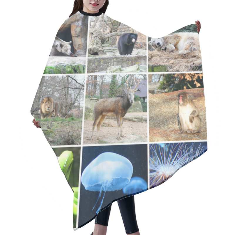 Personality  Collage Of Different Animals In Berlin Zoo, Germany Hair Cutting Cape