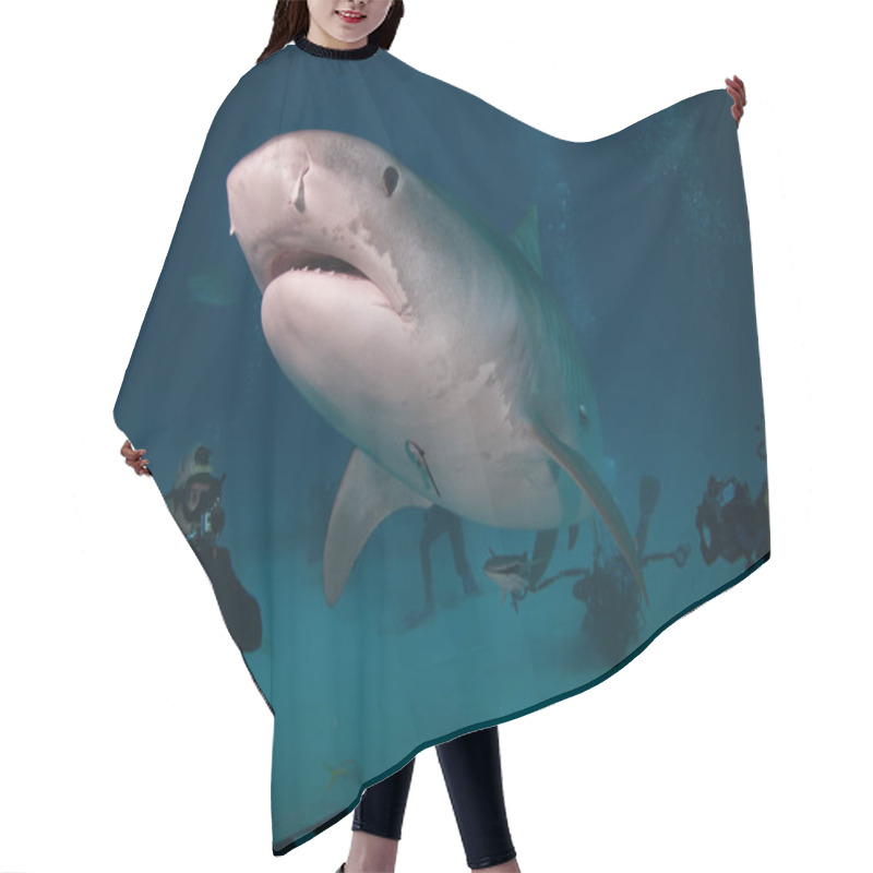 Personality  Large Tiger Shark Hair Cutting Cape