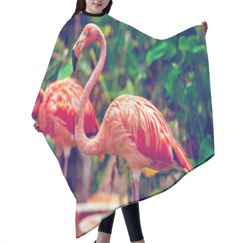 Personality  Pink Flamingo Hair Cutting Cape