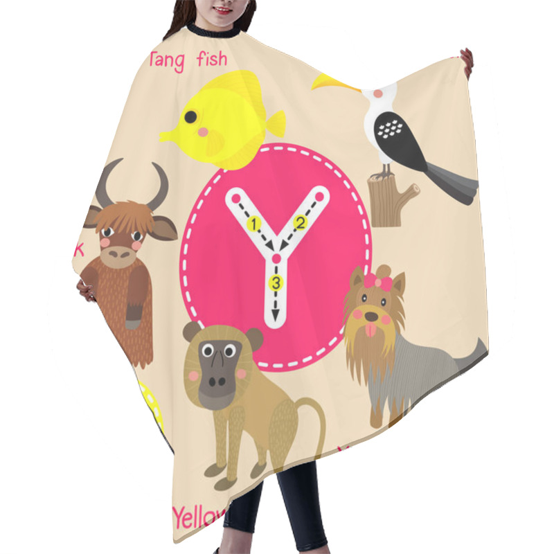 Personality  Cute Children Zoo Alphabet Y Letter Tracing Of Funny Animal Cartoon For Kids Learning English Vocabulary Vector Illustration. Hair Cutting Cape