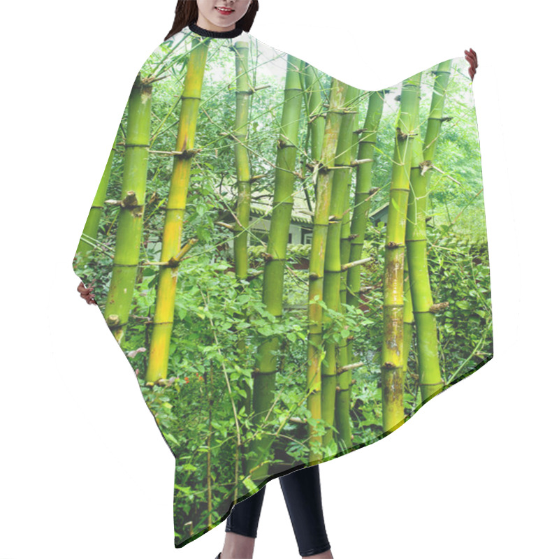 Personality  Green Bamboo Hair Cutting Cape