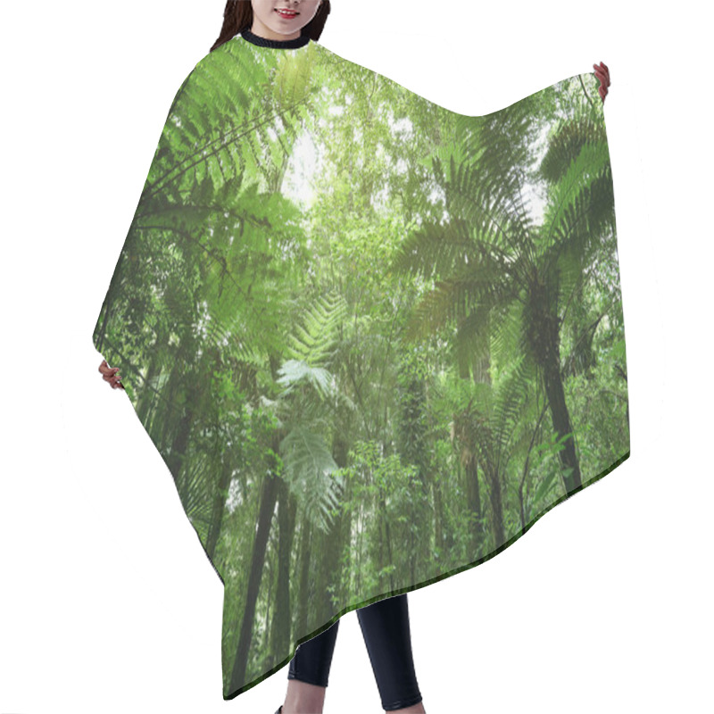 Personality  Tree Ferns In Jungle Hair Cutting Cape