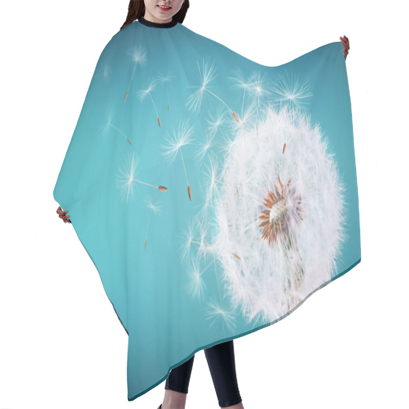 Personality  Dandelion Flying On Cyans Background Hair Cutting Cape