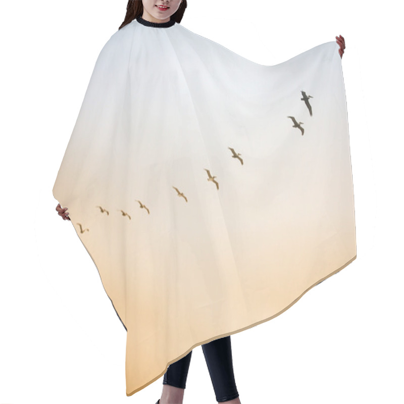 Personality  A Flock Of Birds Hair Cutting Cape