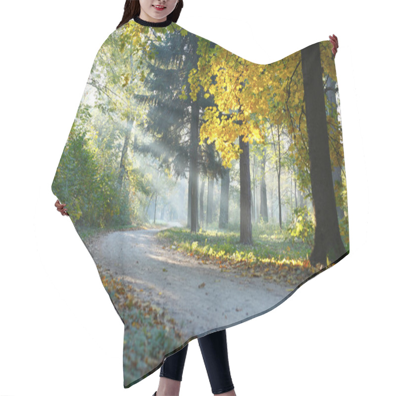 Personality  Autumn Landscape The Sunbeams Hair Cutting Cape