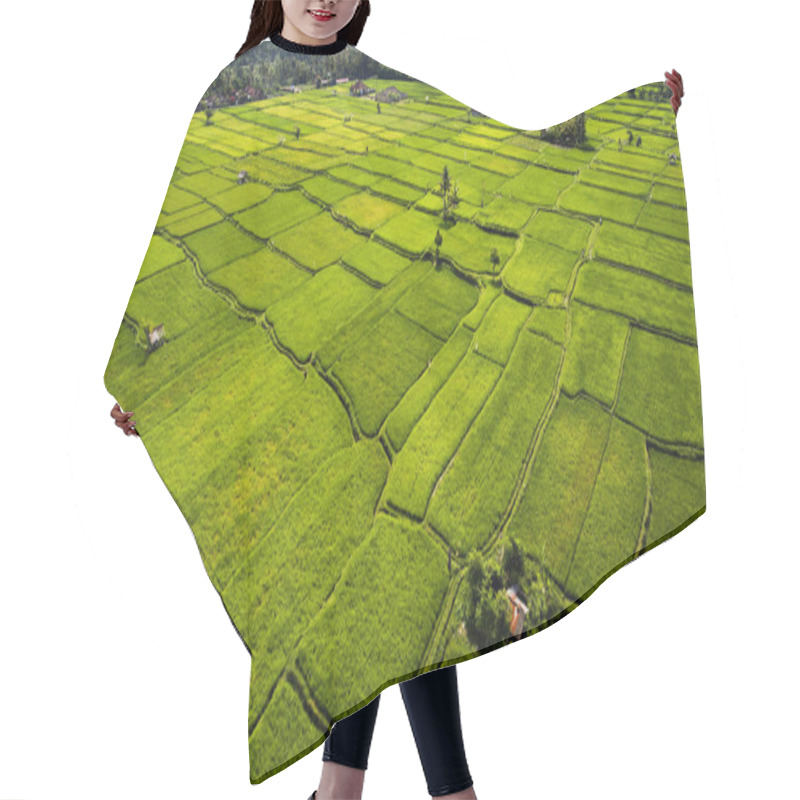 Personality  Beautiful Nature Landscape Hair Cutting Cape