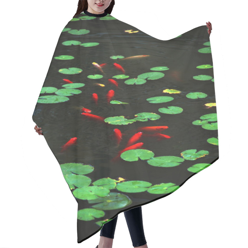 Personality  The Round Green Lotus Leaves And Red Fishes In A Garden Pond. Hair Cutting Cape