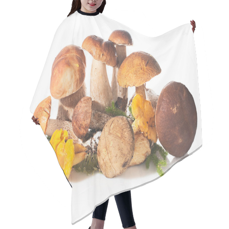 Personality  Fresh Forest Edible Mushrooms On A White Background. Hair Cutting Cape