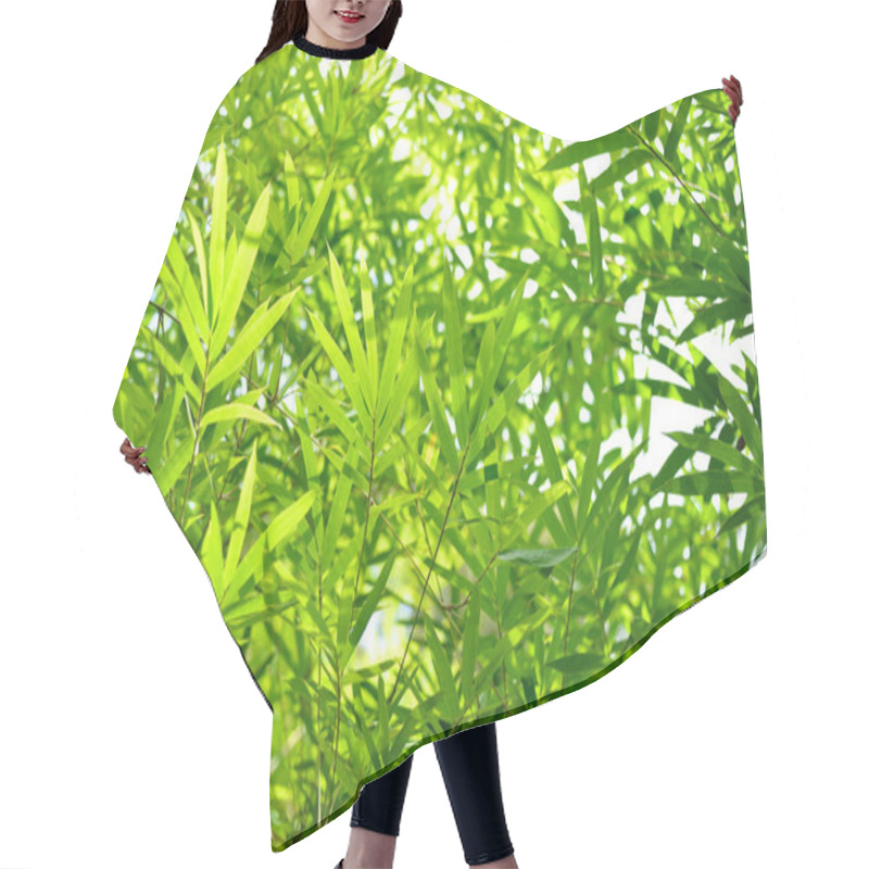 Personality  Tropical Bamboo Leaves Hair Cutting Cape