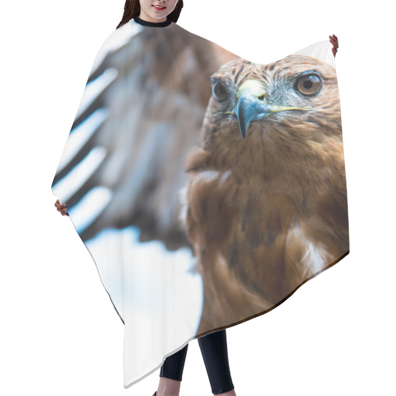 Personality  Bird Of Prey Hair Cutting Cape