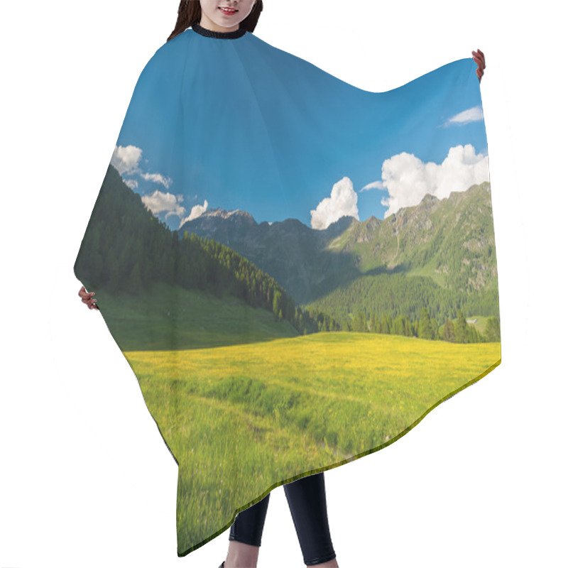 Personality  Blooming Alpine Meadow And Lush Green Woodland Set Amid High Altitude Mountain Range At Sunsets. Valle D'Aosta, Italian Alps. Hair Cutting Cape