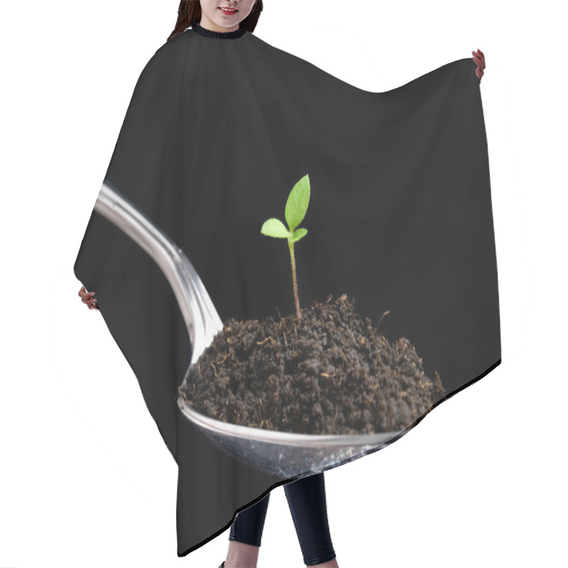 Personality  Organic Food Hair Cutting Cape