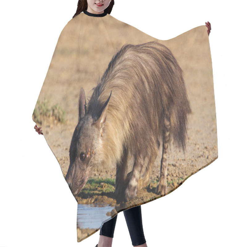 Personality  Brown Hyena Hair Cutting Cape