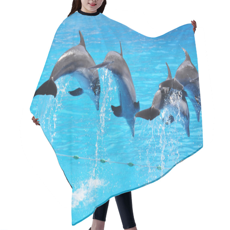 Personality  Dolphins Hair Cutting Cape