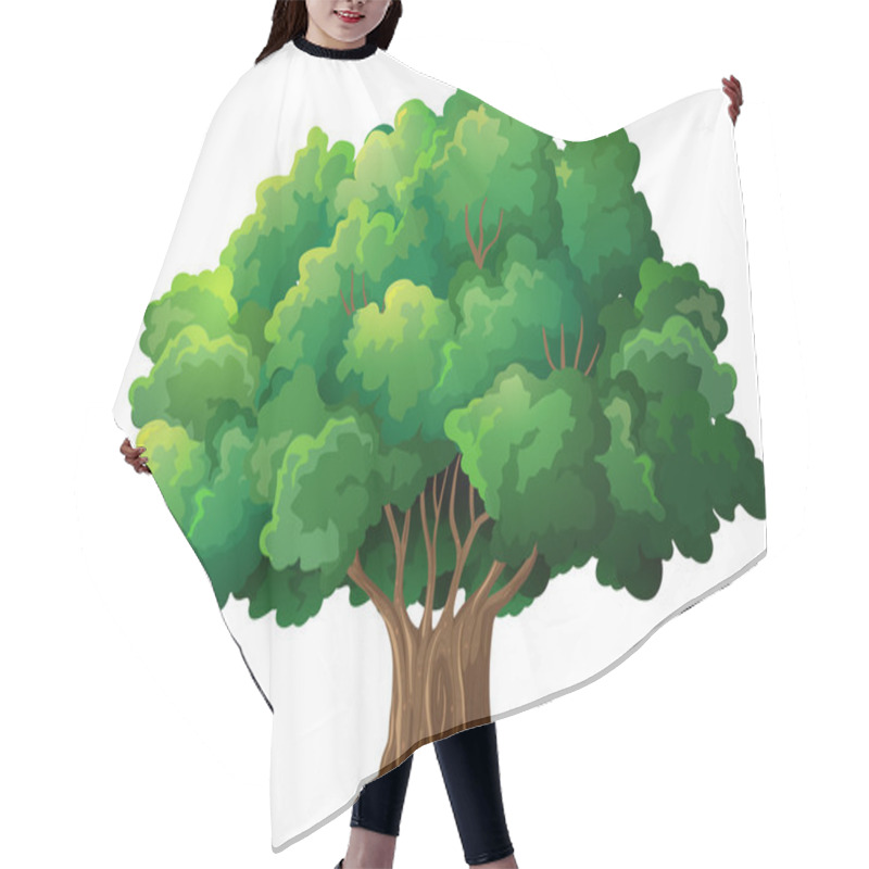 Personality  Tree Illustration Hair Cutting Cape