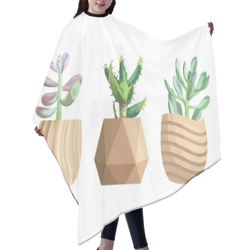 Personality  Seeding In Pots. Garden Plants, Succulents For Greenhouse. Isolated Flowers, Greens And Cactus Vector Set. Hair Cutting Cape