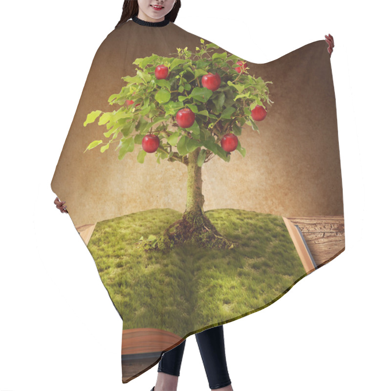 Personality  Book Of Knowledge Hair Cutting Cape