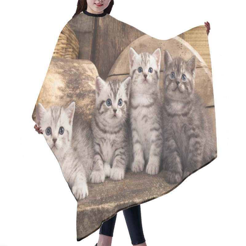 Personality  British Kitten Hair Cutting Cape