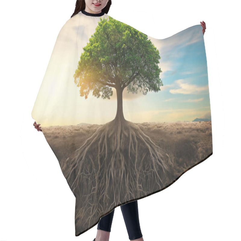 Personality  A Majestic Tree Stands Firmly In Soil With Sprawling Roots Visibly Extending Deep Into The Ground, Symbolizing Strength And Stability, Set Against A Bright, Clear Sky. Hair Cutting Cape