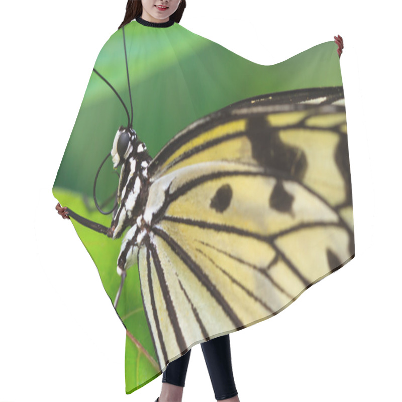 Personality  Butterfly Hair Cutting Cape