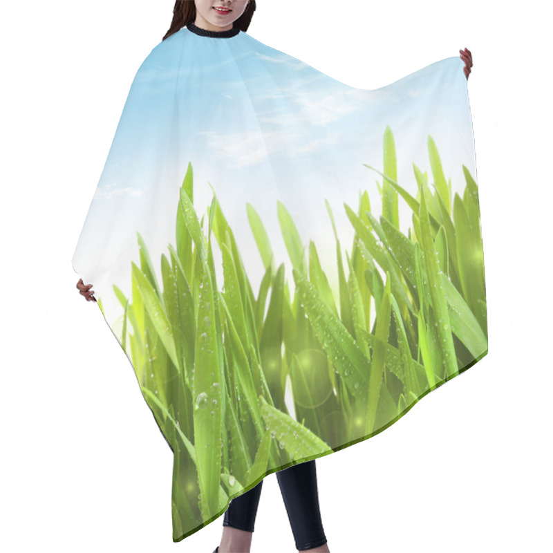 Personality  Fresh Wheat Grass With Dew Drops Against Blue Sky Hair Cutting Cape