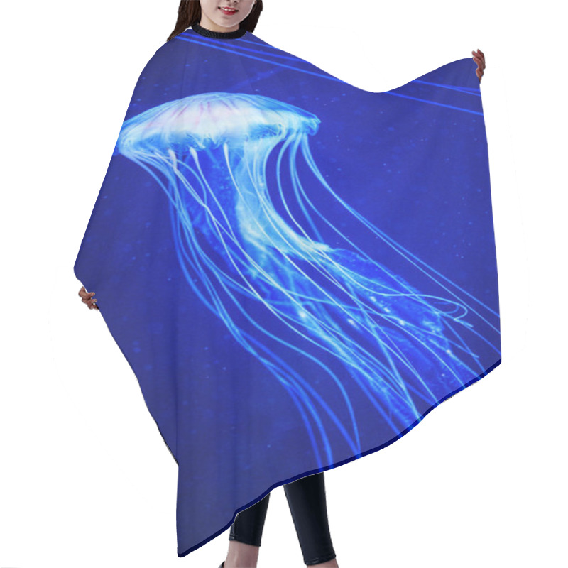 Personality  Beautiful Jellyfish, Medusa In The Neon Light With The Fishes. U Hair Cutting Cape