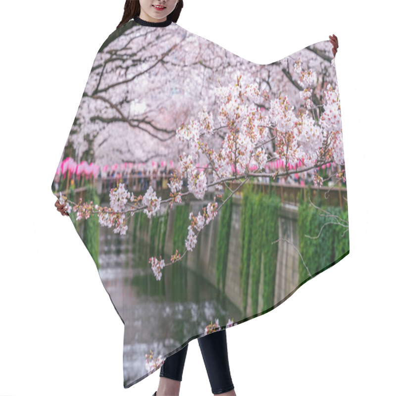 Personality  Cherry Blossom Rows Along The Meguro River In Tokyo, Japan Hair Cutting Cape