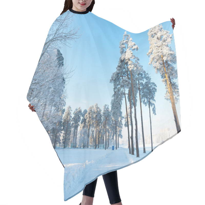 Personality  Beautiful Winter Forest On Sunny Day Hair Cutting Cape