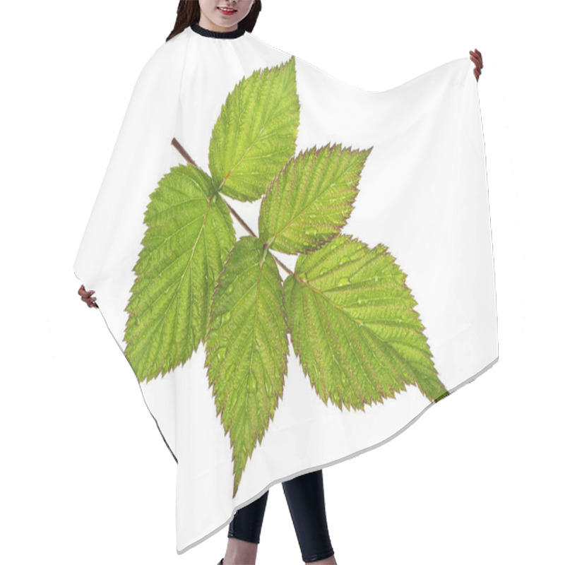 Personality  Raspberry Leaves In Water Drops On A White Background Hair Cutting Cape