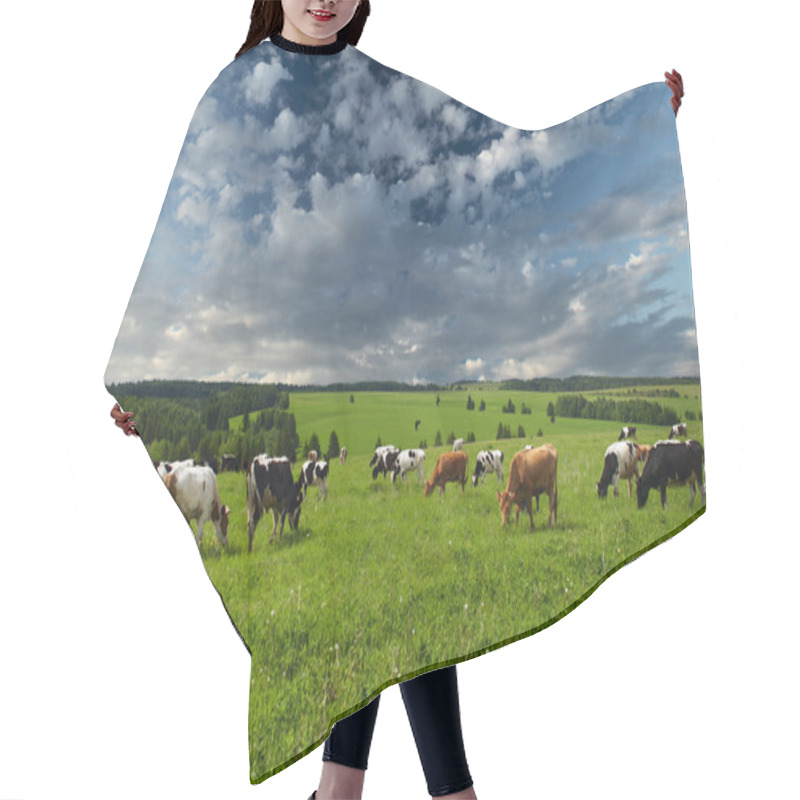 Personality  Cows Hair Cutting Cape