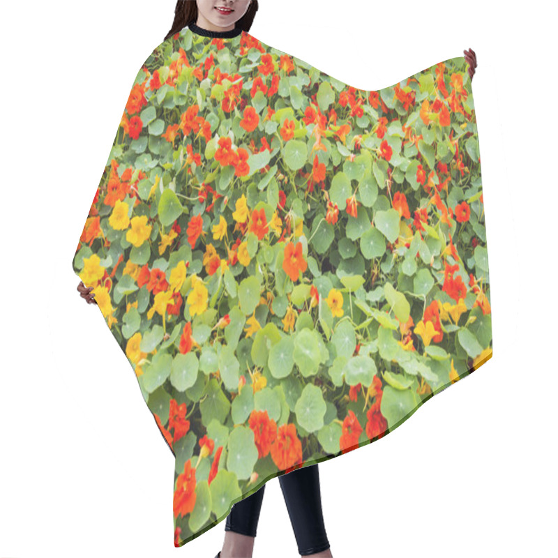 Personality  Nasturtium Flower Bed Hair Cutting Cape