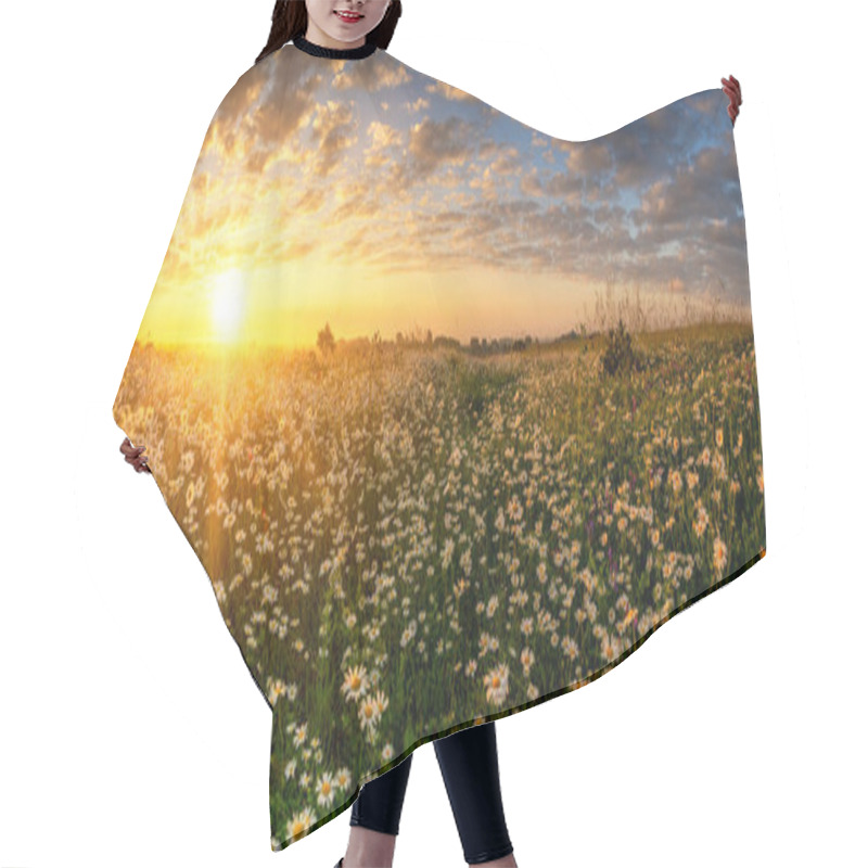 Personality  Beautiful Summer Sunrise Over Daisy Field - Panorama Hair Cutting Cape