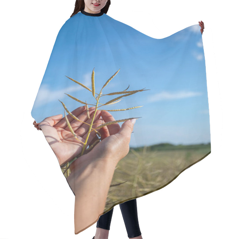 Personality  A Closeup View Of Hands Gently Holding Healthy Plant Stalks Set Against A Beautiful And Vibrant Blue Sky Hair Cutting Cape