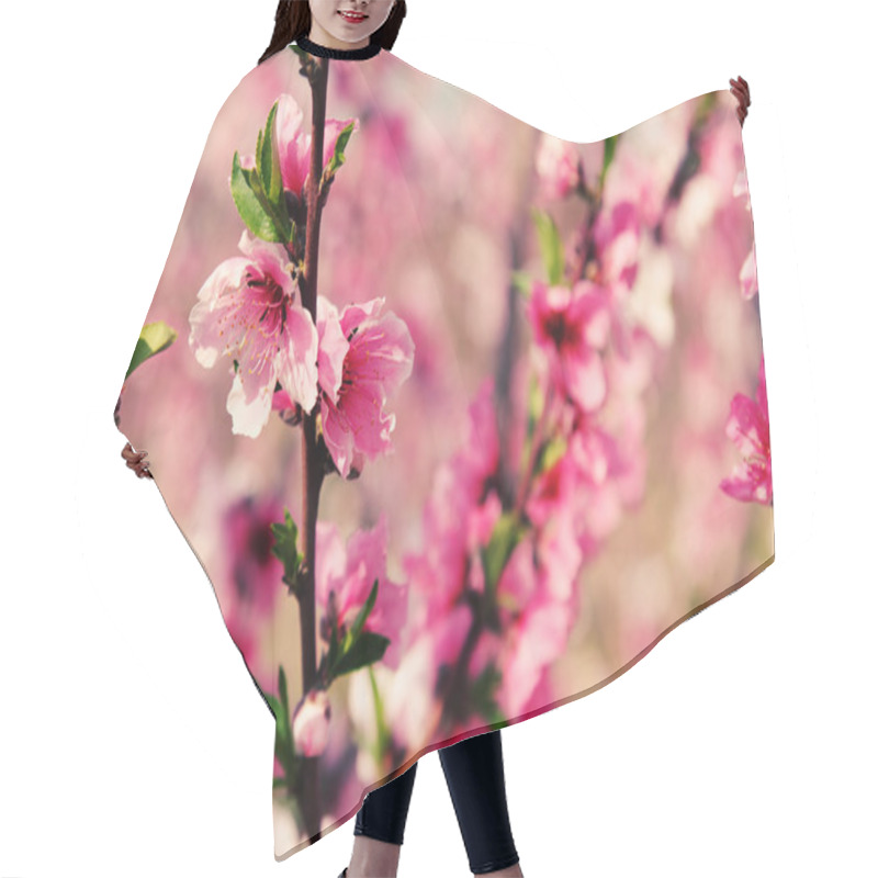 Personality  Blossoming Cherry Branches Hair Cutting Cape