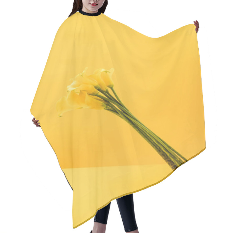 Personality  Beautiful Blooming Yellow Spring Flowers Isolated On Yellow  Hair Cutting Cape