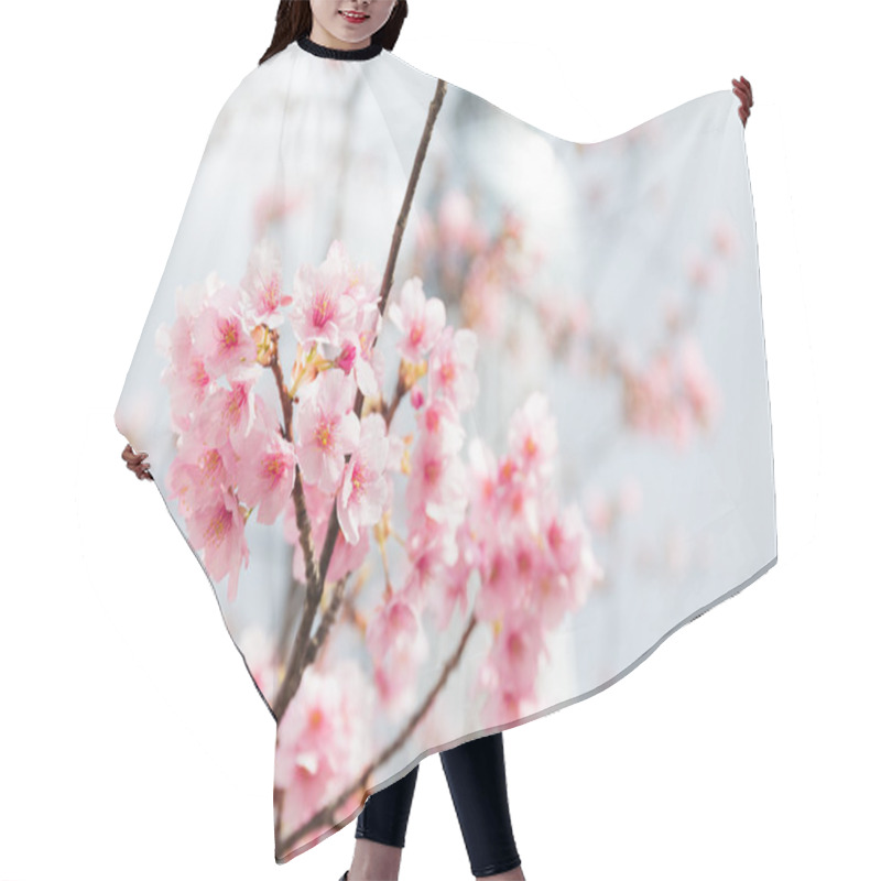 Personality  Sakura Pink Flowers On Tree Hair Cutting Cape