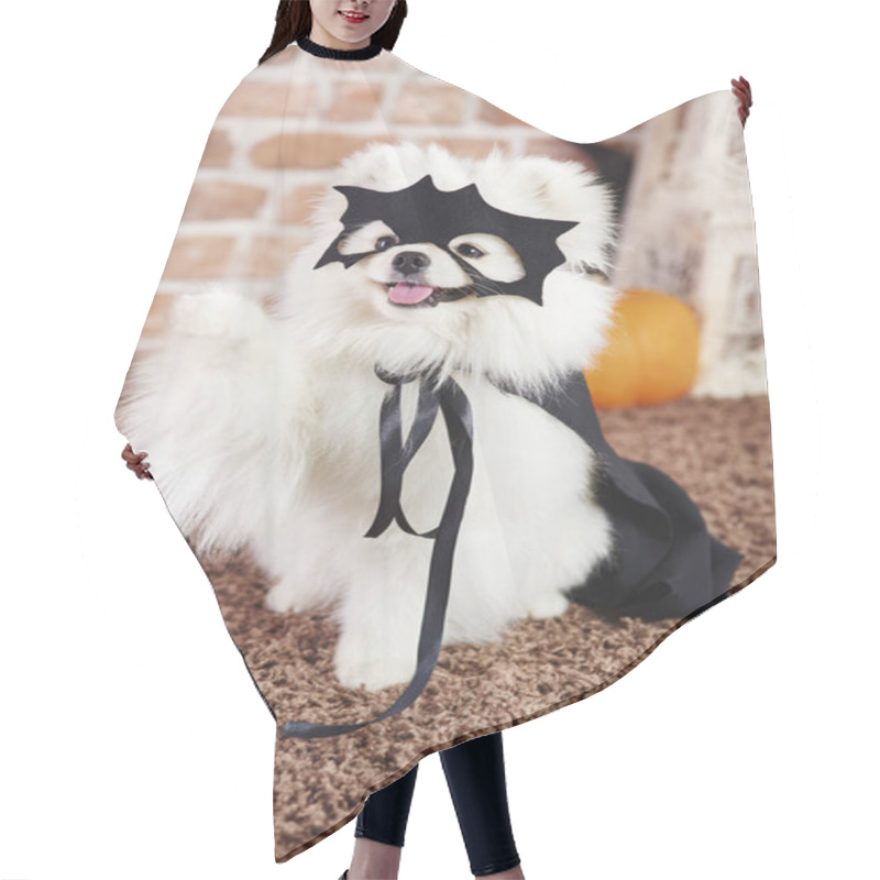 Personality  Portrait Of Playful Dog In Halloween Costume Hair Cutting Cape