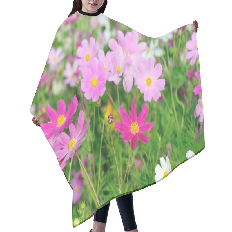 Personality  Beautiful Cosmos Flowers Blooming In Tibet Hair Cutting Cape