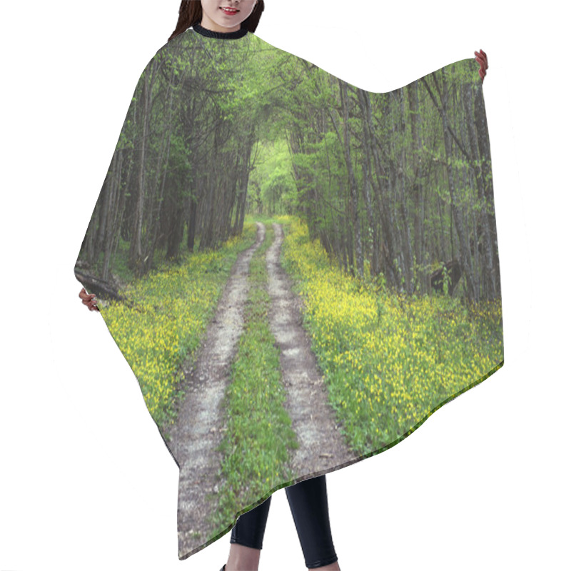 Personality  Spring Road Hair Cutting Cape