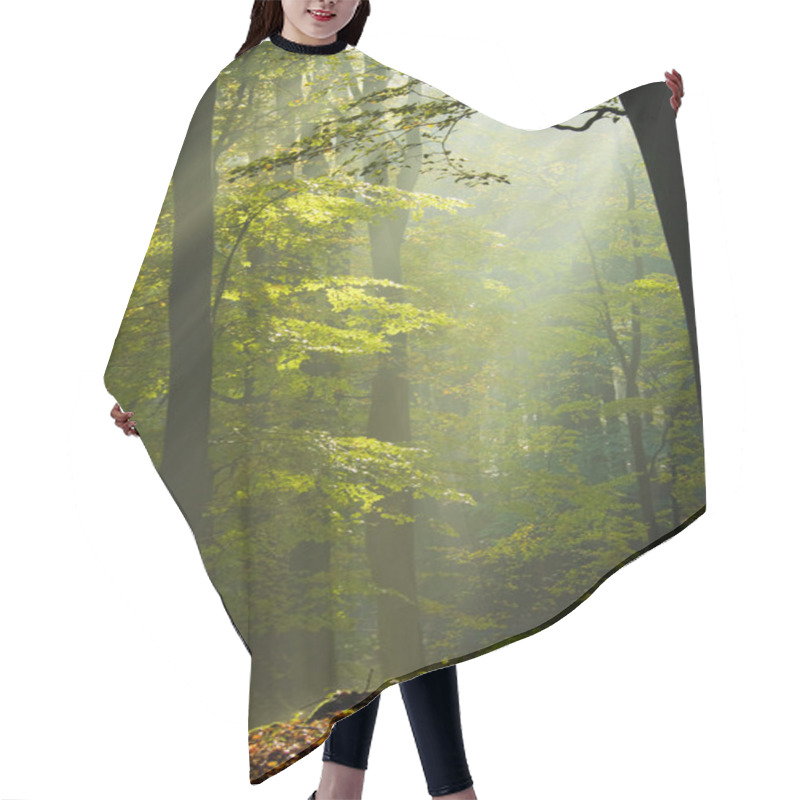 Personality  Autumn Forest In The Mist Hair Cutting Cape