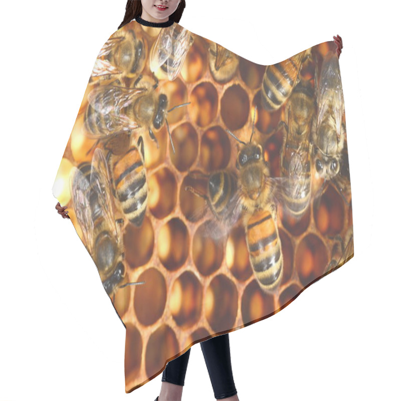 Personality  Closeup Of Hardworking Bees On Honeycomb Hair Cutting Cape