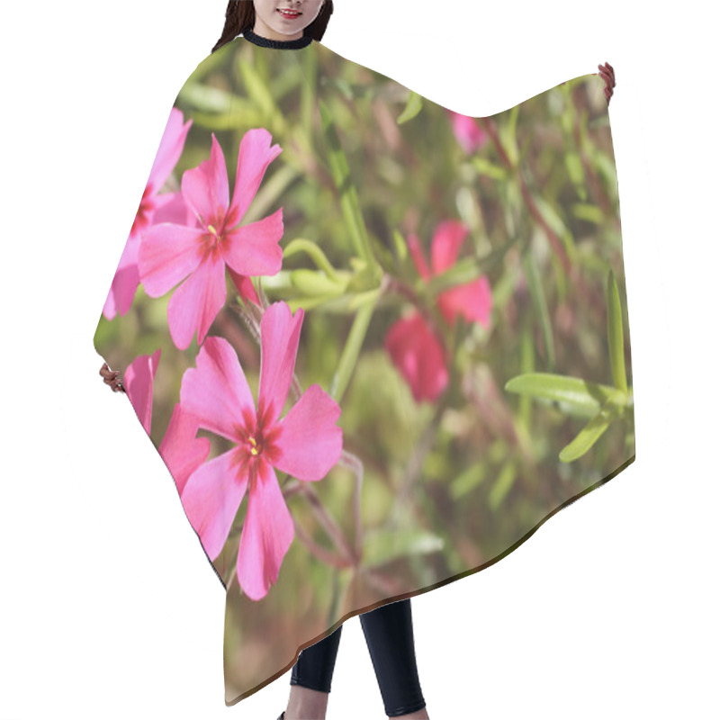 Personality  Creeping Phlox Hair Cutting Cape