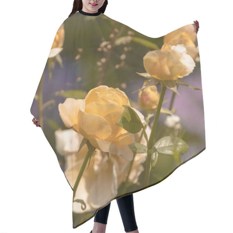 Personality  Rose Hair Cutting Cape