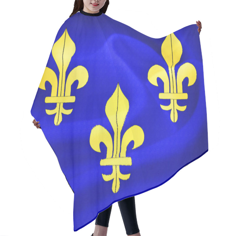 Personality  Old French Flag Hair Cutting Cape