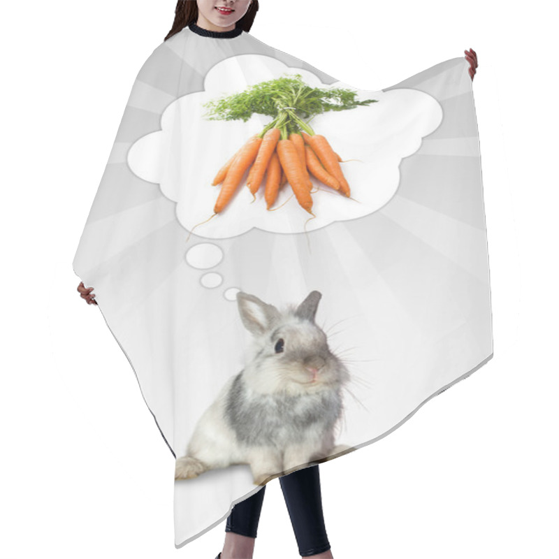 Personality  The Rabbit's Think Hair Cutting Cape